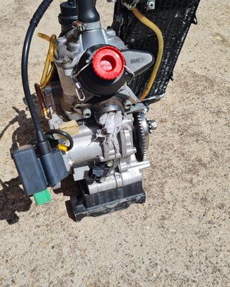 Motore Rotax 125 kart senior 