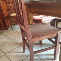 30 sedie in legno massiccio 