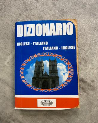 Dizionario inglese-italiano anno 2005