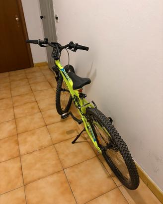 Bicicletta