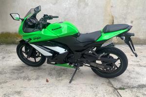 Kawasaki Ninja 250R