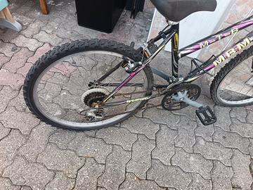 bicicletta ragazzi 