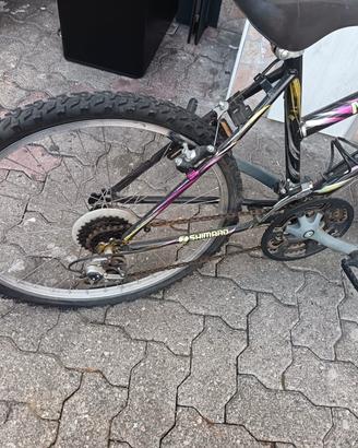 bicicletta ragazzi 
