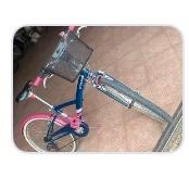 Bici Decathlon Bimba cerchio 24”