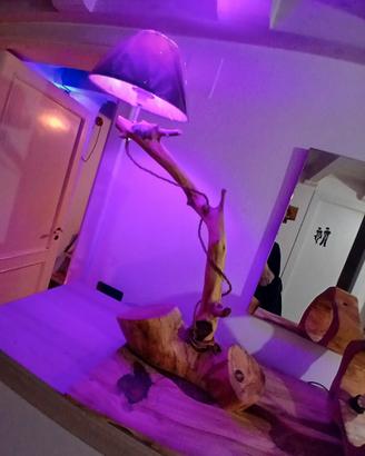 Lampada con paralume in ulivo