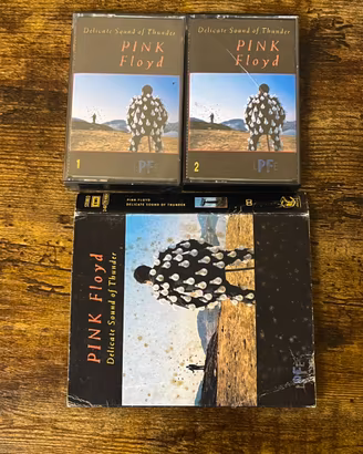 Pink Floyd Delicate Sound of Thunder Box 2 MC
