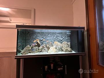 Acquario 450 completo