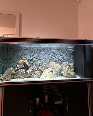 Acquario 450 completo