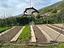 Immagine 26
