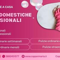 Collaboratrice Domestica