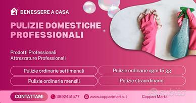 Collaboratrice Domestica