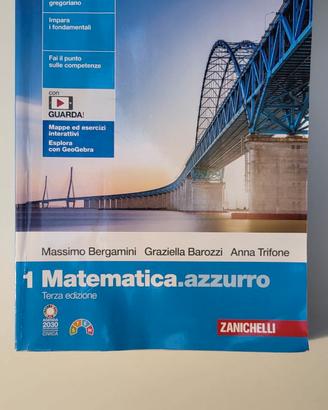 Matematica Azzurro 1