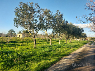 Terreno Agricolo con Rustico