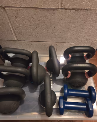 manubri e kettlebell 