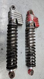 Ammortizzatori Ceriani Gas