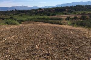 Terreno a Balestrate