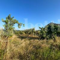 Terreno Agricolo Alife [Cod. rif 3159733VCG]