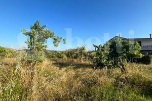 Terreno Agricolo Alife [Cod. rif 3159733VCG]