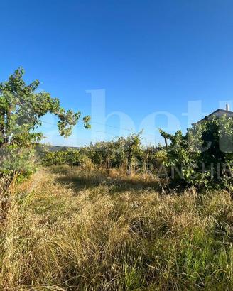 Terreno Agricolo Alife [Cod. rif 3159733VCG]