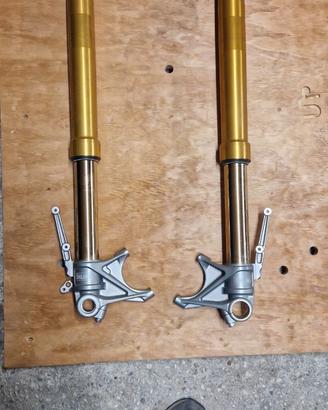 Forcelle OHLINS-Ducati HYPERMOTARD 939 SP - 950 SP