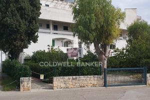 Attività commerciale - Ostuni