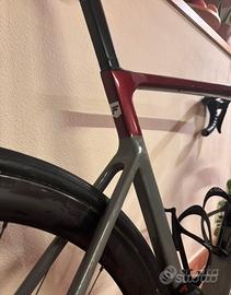 Bici da corsa Focus Izalco Max telaio