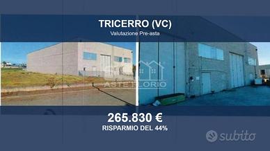 Immobile in asta di 1033 m² a Tricerro