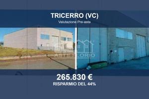 Immobile in asta di 1033 m² a Tricerro