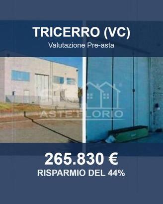 Immobile in asta di 1033 m² a Tricerro