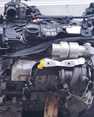 MOTORE SEMICOMPLETO USATO FORD Focus S. Wagon 5°