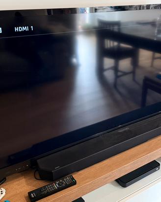 TV Sony Bravia 55 pollici HDMI