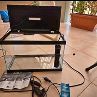Acquario 20L e accessori.