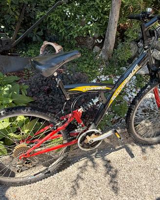 Bicicletta
