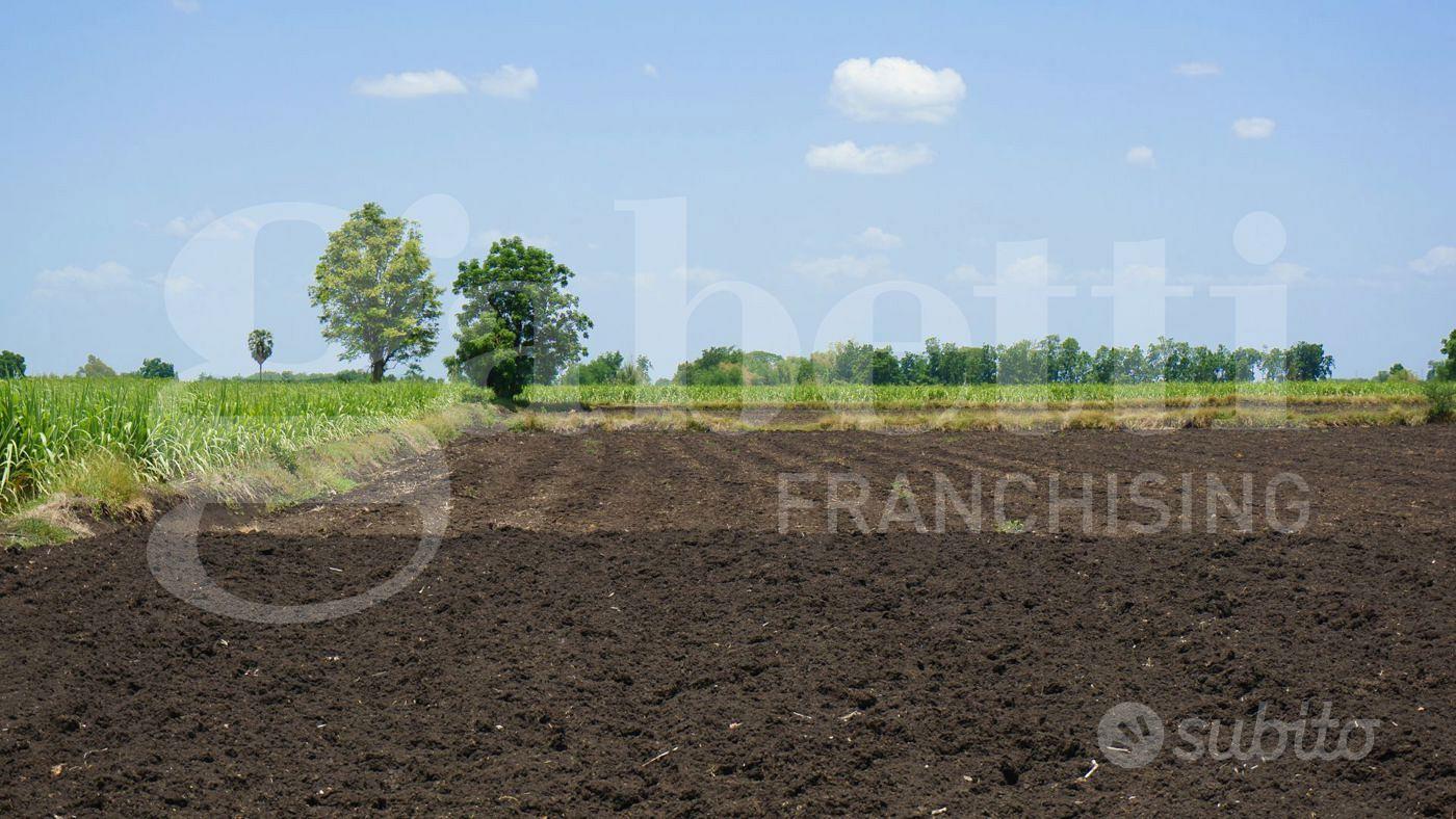 Terreno Agricolo Camponogara [Cod. rif 3342326VRG] - Vista 2