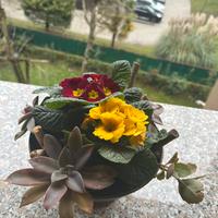 Composizione floreale