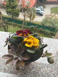 Composizione floreale