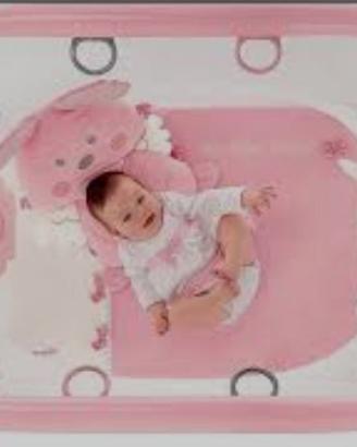 box bimba