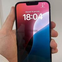 Apple iPhone 13 Pro Max black 256 GB - 7933