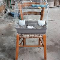 Gabbietta per uscellini 