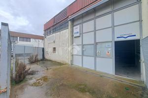 CAPANNONE A FOLLONICA