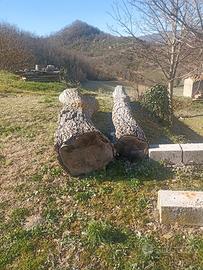 tronchi di noce