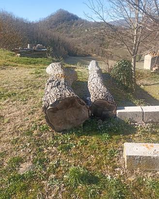 tronchi di noce
