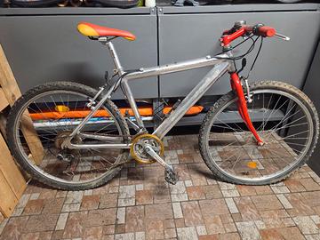Bicicletta Uomo