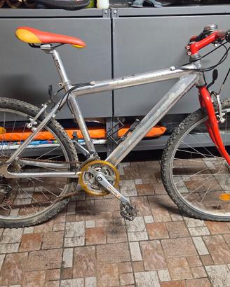 Bicicletta Uomo