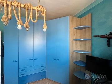 camerina laminato
