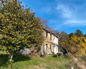 Rustico a 20 minuti da Forte dei Marmi