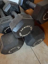 Manubri e Kettlebell xenios
