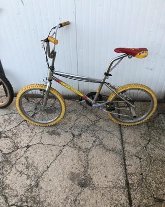 Coppia di BMX
