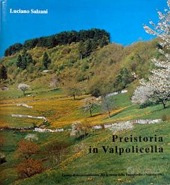 Preistoria in Valpolicella (Luciano Salzani, 1981)