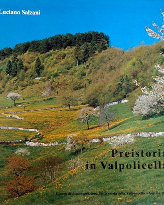 Preistoria in Valpolicella (Luciano Salzani, 1981)